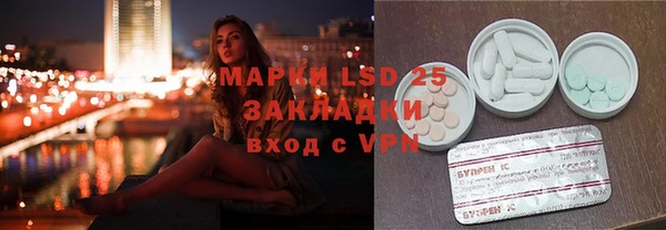 сатива Горняк