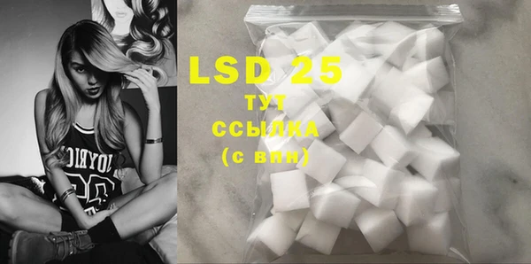 PSILOCYBIN Горнозаводск