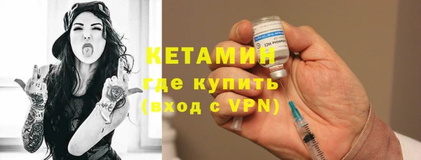 сатива Горняк