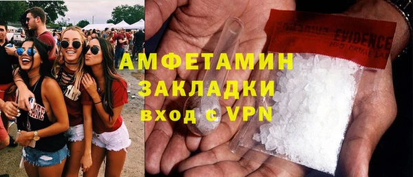 сатива Горняк
