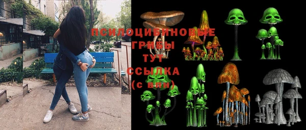 PSILOCYBIN Горнозаводск