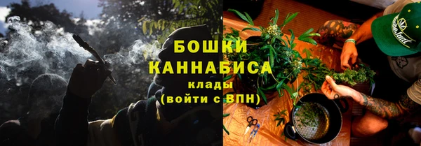 PSILOCYBIN Горнозаводск