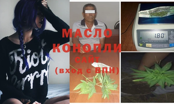 сатива Горняк
