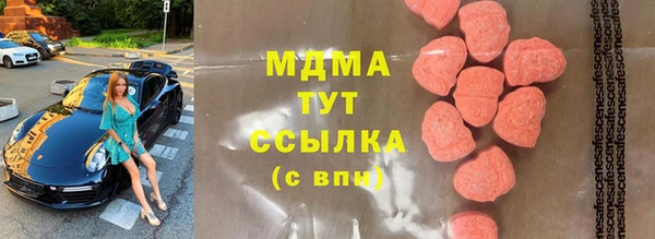 сатива Горняк